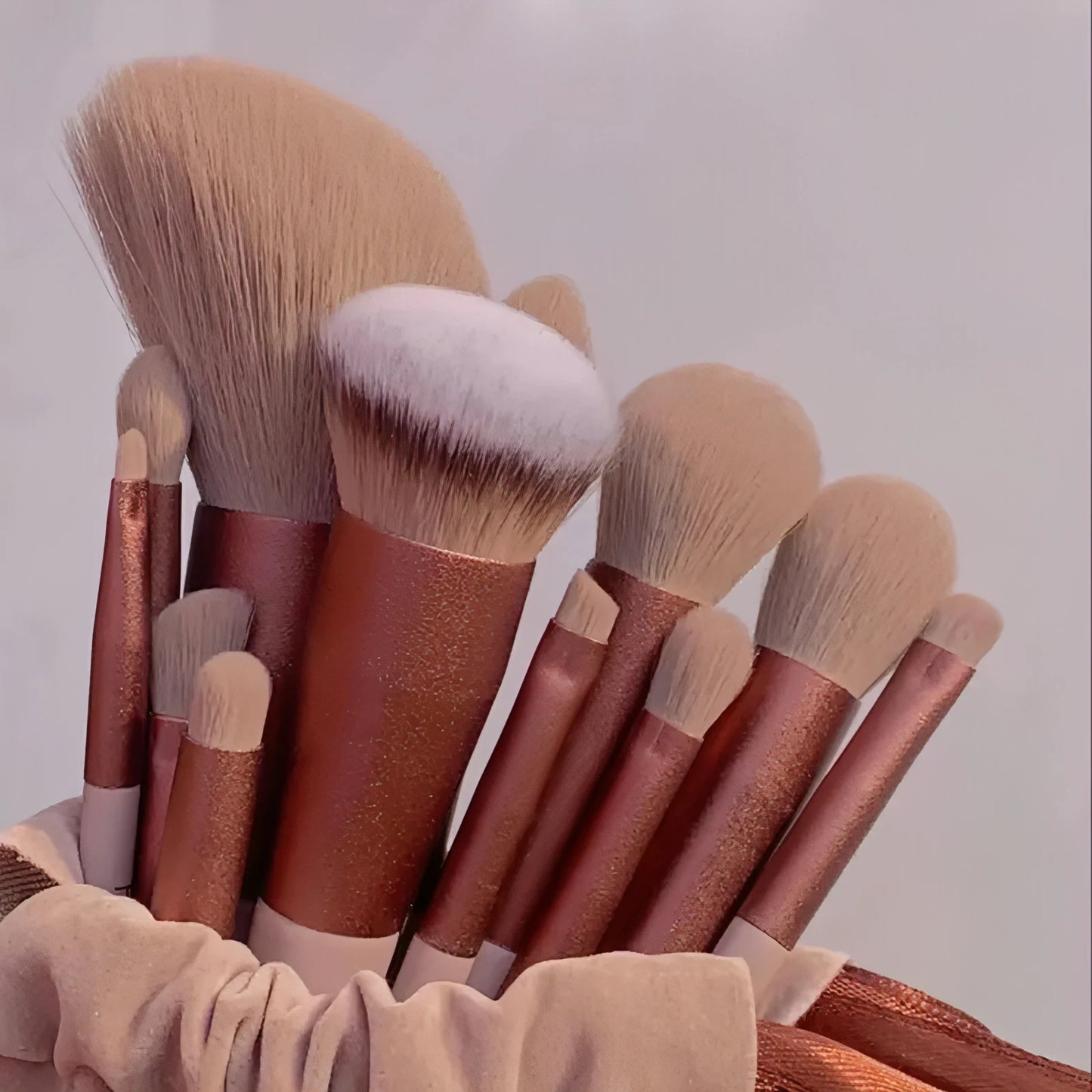 13Pcs Soft Fluffy Makeup Brushes Set - Allure SocietyMakeup Brush Set