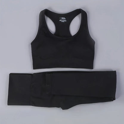 2/3PCS Seamless Women Workout Sportswear - Allure SocietyActivewear Sets